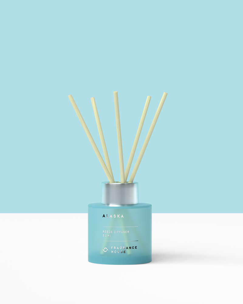 Mini Reeds Diffuser | Alaska